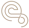 Slingshot Weddings Logo